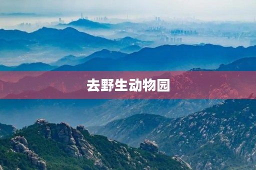去野生动物园 去野生动物园