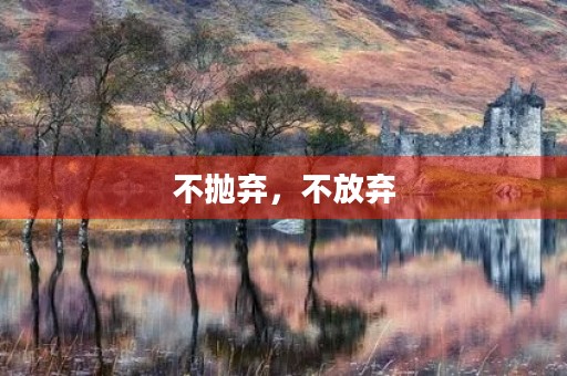 不抛弃,不放弃 不抛弃,不放弃