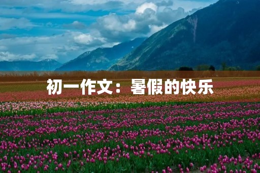 初一作文：暑假的快乐