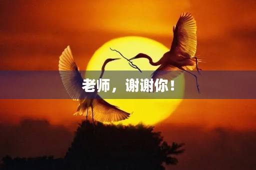 老师，谢谢你！