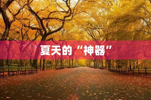 夏天的“神器”