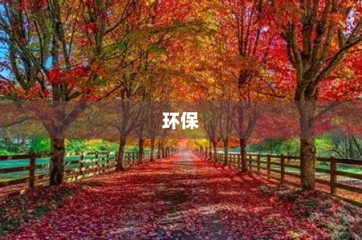 环保 环保