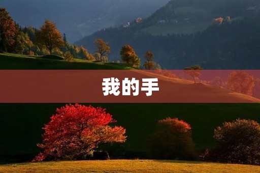 我的手 我的手