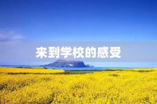 来到学校的感受 来到学校的感受