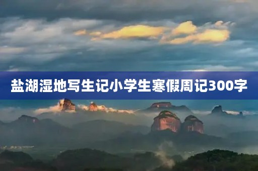 盐湖湿地写生记小学生寒假周记300字 盐湖湿地写生记小学生寒假周记300字