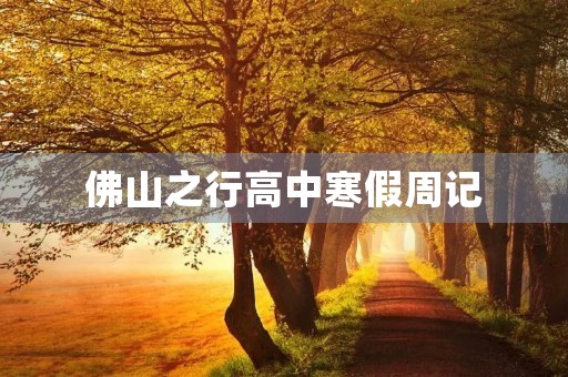 佛山之行高中寒假周记 佛山之行高中寒假周记