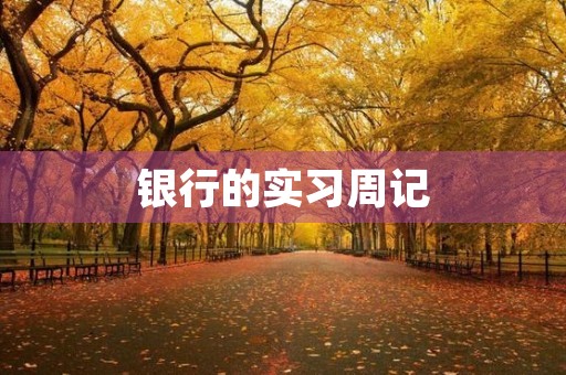 银行的实习周记