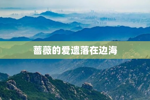 蔷薇的爱遗落在边海 蔷薇的爱遗落在边海