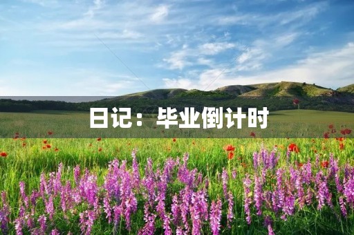 日记：毕业倒计时