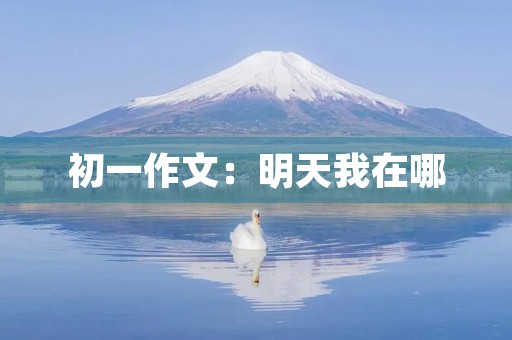 初一作文：明天我在哪