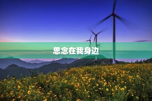思念在我身边 思念在我身边
