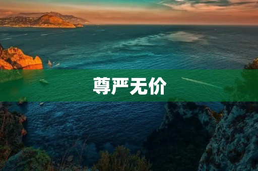尊严无价