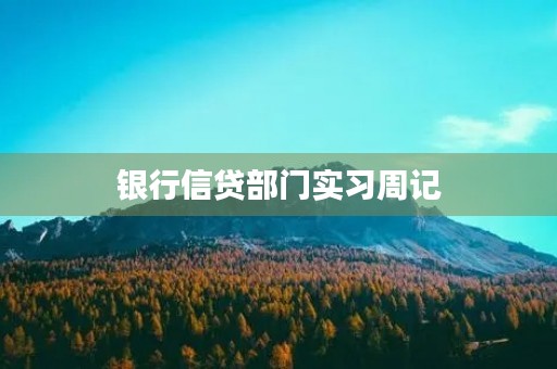 银行信贷部门实习周记 银行信贷部门实习周记