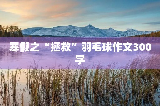寒假之“拯救”羽毛球作文300字