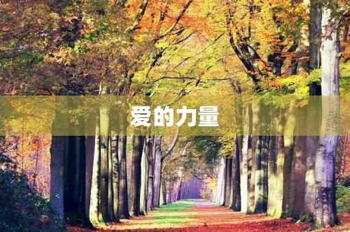 爱的力量