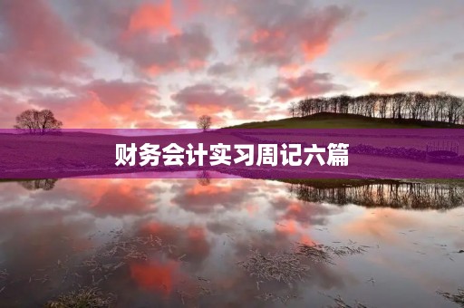 财务会计实习周记六篇 财务会计实习周记六篇