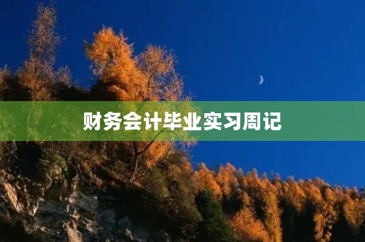 财务会计毕业实习周记 财务会计毕业实习周记