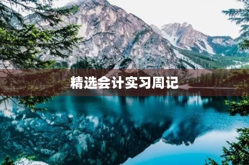 精选会计实习周记