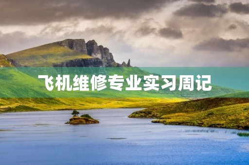 飞机维修专业实习周记 飞机维修专业实习周记