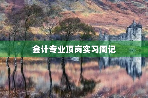 会计专业顶岗实习周记 会计专业顶岗实习周记