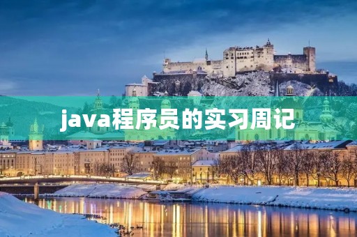 java程序员的实习周记