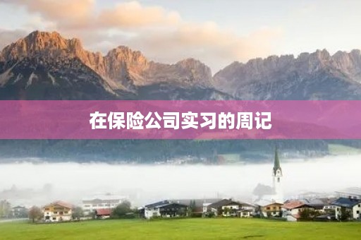 在保险公司实习的周记 在保险公司实习的周记