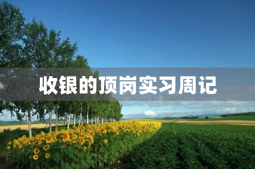 收银的顶岗实习周记 收银的顶岗实习周记