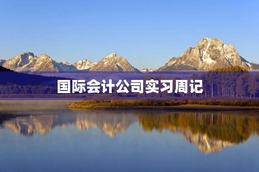 国际会计公司实习周记