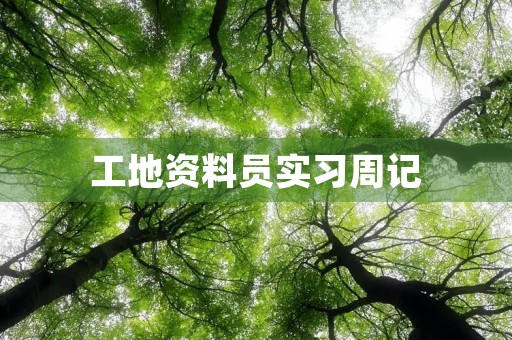 工地资料员实习周记 工地资料员实习周记