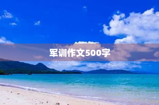 军训作文500字