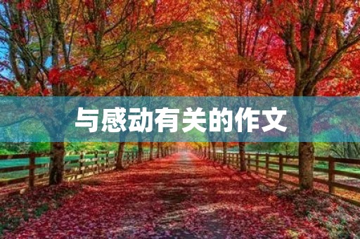 与感动有关的作文