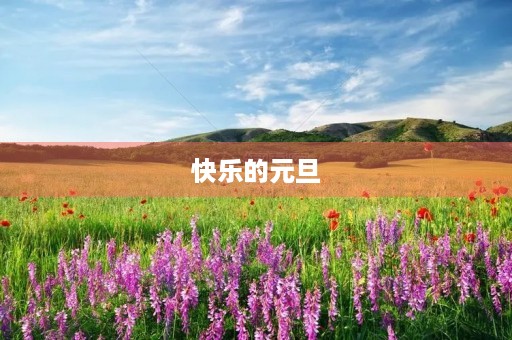 快乐的元旦 快乐的元旦