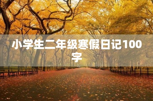小学生二年级寒假日记100字 小学生二年级寒假日记100字