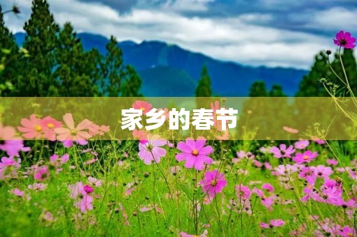 家乡的春节