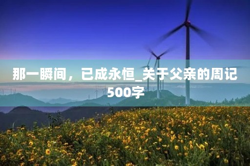 那一瞬间,已成永恒_关于父亲的周记500字 那一瞬间,已成永恒_关于父亲的周记500字