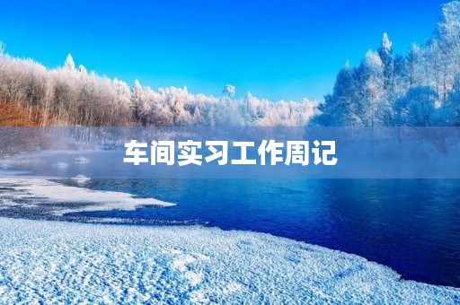 车间实习工作周记 车间实习工作周记