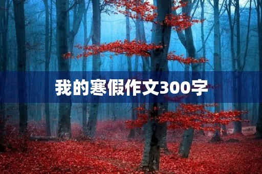 我的寒假作文300字 我的寒假作文300字