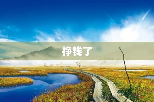 挣钱了 挣钱了