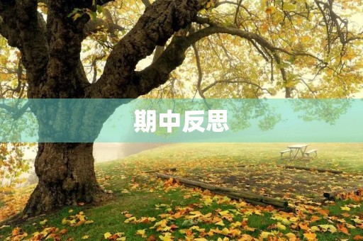 期中反思