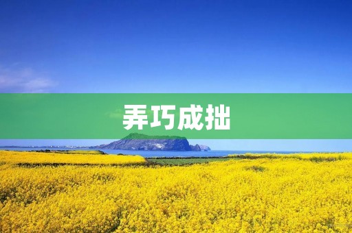 弄巧成拙 弄巧成拙