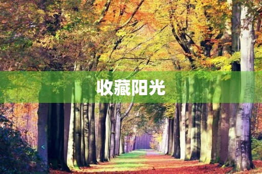收藏阳光 收藏阳光