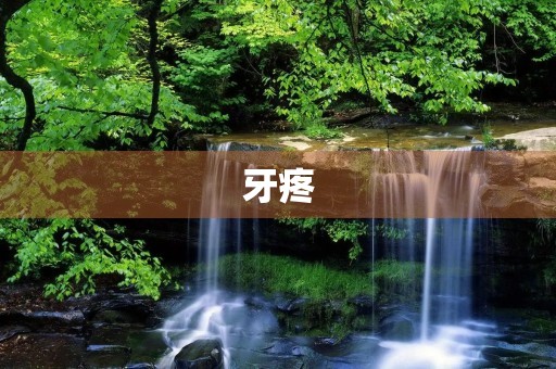 牙疼 牙疼
