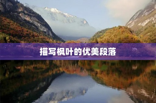 描写枫叶的优美段落