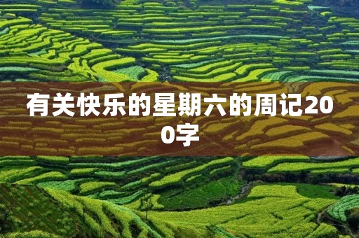 有关快乐的星期六的周记200字
