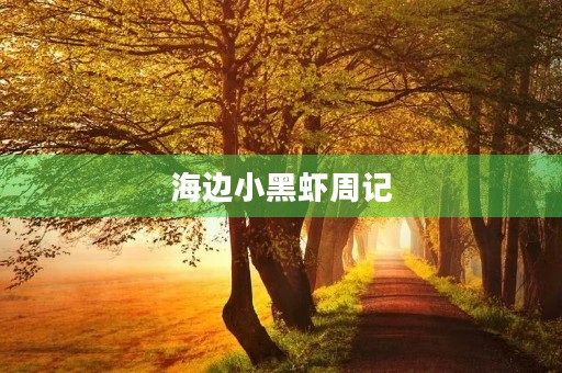 海边小黑虾周记 海边小黑虾周记