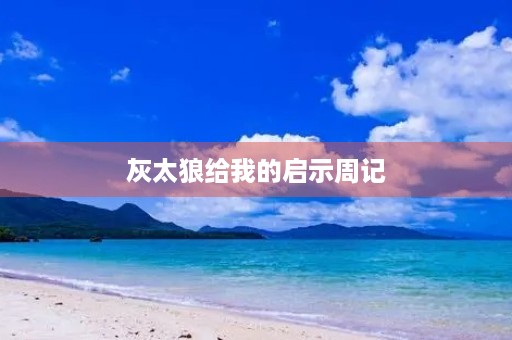 灰太狼给我的启示周记 灰太狼给我的启示周记