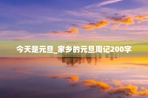 今天是元旦_家乡的元旦周记200字