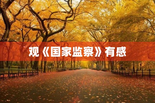 观《国家监察》有感