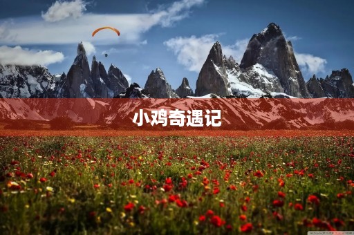 小鸡奇遇记