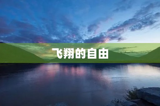 飞翔的自由